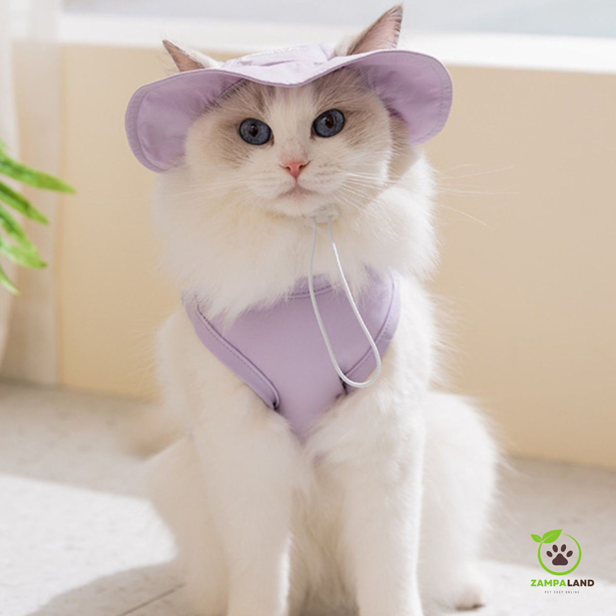 Moda e Accessori
